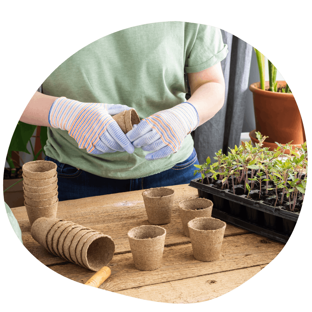 Person with gardening gloves holding a jiffy pot next to a tray of seedlings